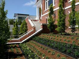 Steep Backyard Into A Terraced Garden