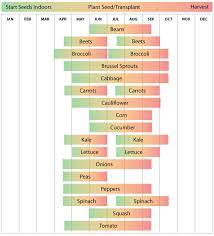 Washington Vegetable Planting Calendar