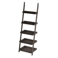 Leaning Ladder Bookshelf