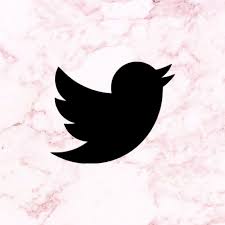 Pink Marble Twitter Icon