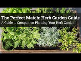The Perfect Match Herb Garden Guide