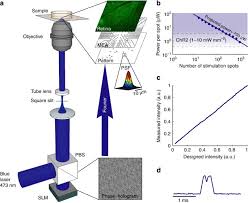 holographic optogenetic stimulation of