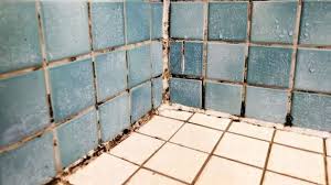 Silicone Sealant Mould Stains