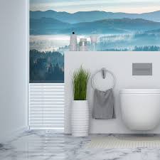 Custom Bathroom Blinds Custom