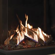 Two Sided Balanced Flue Gas Fire