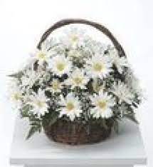 Flower Baskets Serenity Meadows