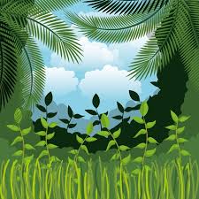 Jungle Landscape Background Isolated