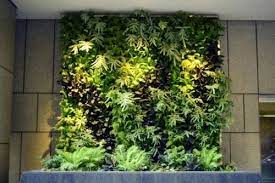 Live Vertical Green Wall At Rs 1500