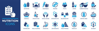 Meal Plan Icon Images Browse 5 869