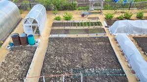 Vegetable Garden With Vege