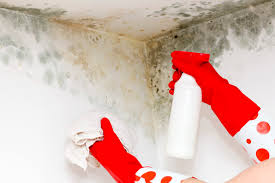 Prevent Mould On The Bathroom Ceiling