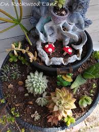 How To Make A Rock And Succulent Garden