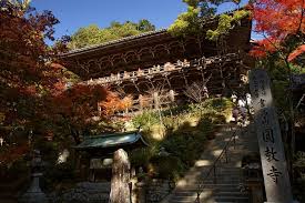Himeji Half Day Private Tour With