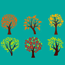 100 000 Tree Branches Flat Icon Vector