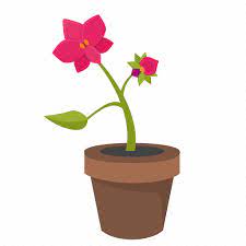 Bud Flower Orchid Plant Pot Icon