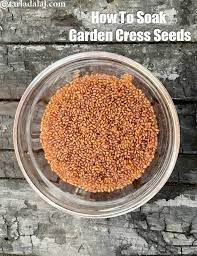 How To Soak Garden Cress Seeds Recipe