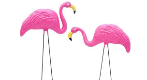 Plastic Pink Flamingos In Rv Parks Are