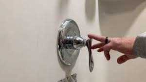 Menard S Tuscany Shower Head