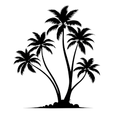 76 000 Palm Tree Pictures