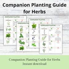 Companion Planting Guide