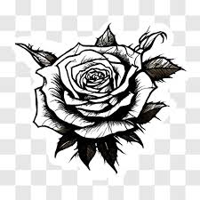 Rose Tattoo Design Png
