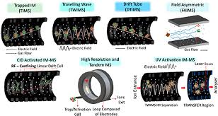 Ion Mobility Mass Spectrometry Im Ms