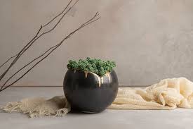 Eclectic Succulents Pottery Planter Pot