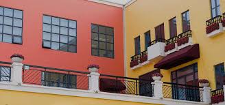 British Paints Wall Painting Primer