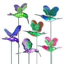 Exhart Windywings Hummingbird
