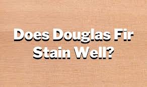 does douglas fir stain well all you