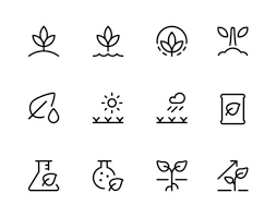 Growth Icon Vector Art Icons And