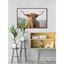 Highland Cow Floater Framed Print On Canvas 18 X 12