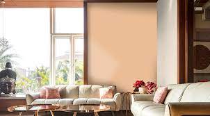 Design With Stylish Hall Colour Combination