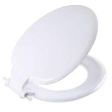 Smart Toilet Seat Cover In Nashik At