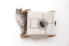 Cat Wall Cubby Enclosed Cat Bed