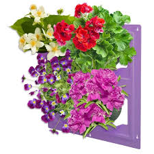 Emsco Wallflowers 17 In Square Resin Living Wall Hanging Flower Planter In Radiant Orchid Purple 4 Pot