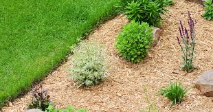 Benefits Of Mulching For Your Garden