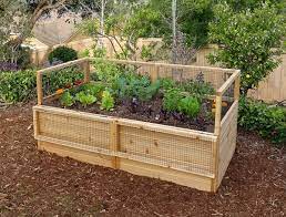 Garden In A Box Kit With Deer Fence Kit