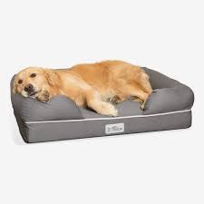 13 Very Best Dog Beds 2023 The Strategist