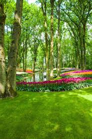 Green Garden Images Free On