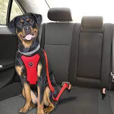 Car Seat Safety Belt Harness And Leash