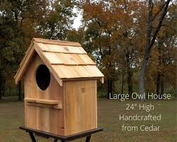Owl Nesting Box Barred Owl Cedar