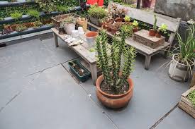 Roof Garden Images Free On