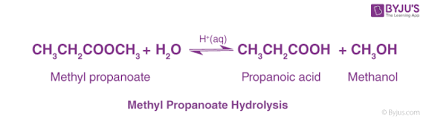 Ester Hydrolysis Mechanism And