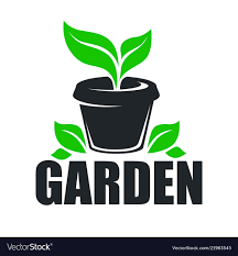 Garden Greenery Plant Growing In Pot