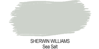 Sherwin Williams Sea Salt Paint Color