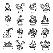 Indoor Plant Outline Icon Vector