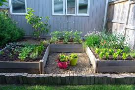 Square Foot Gardening Method The