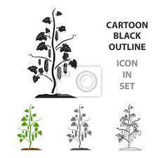 Cucumber Icon Cartoon Single Plant