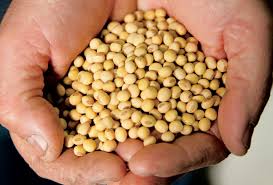farm facts about soybeans